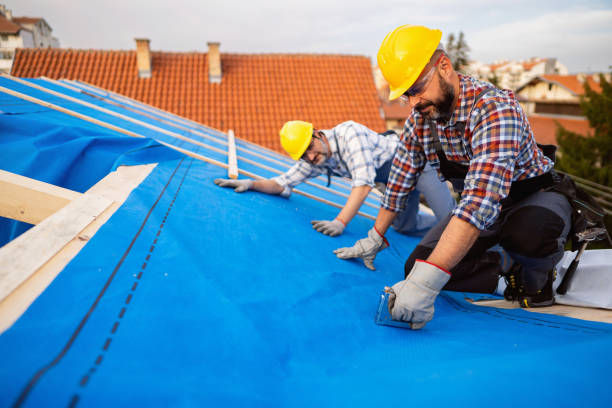 Roof Gutter Cleaning in Hopkins, SC